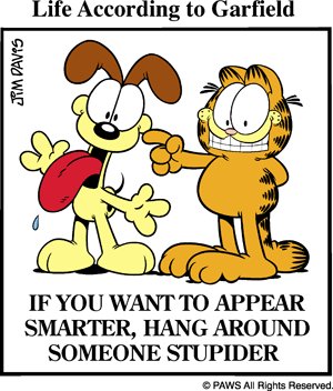 Life According to Garfield-Stupider