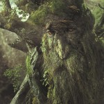 treebeard62106